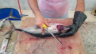 2 kg small Tuna fish cutting fast fish cutting skilly knife [upl. by Ainival947]