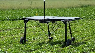 The Future of Farming Ecorobotix the SolarPowered Weeding Robot [upl. by Hull]