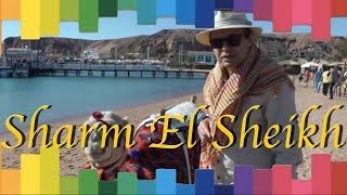 Ayhan Sicimoğlu ile RENKLER  Sharm El Sheikh Mısır 1Bölüm [upl. by Oilisab]