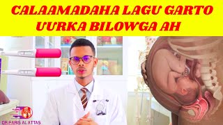 CALAAMADAHA LAGU GARTO UURKA BILOWGA AH Dr Faris [upl. by Yenahc]