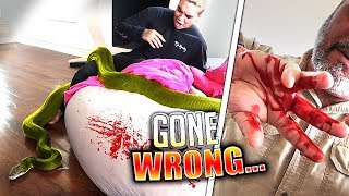 DEADLY SNAKE ON SLEEPING ROOMMATE GOES WRONG [upl. by Karilla937]