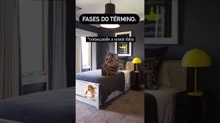 Fases do término musicgenre edit musicsong [upl. by Joellyn495]