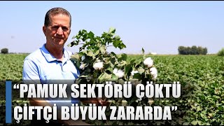 Pamuk Sektörü Çöktü Çiftçi Büyük Zararda  AGRO TV HABER [upl. by Alyakam632]