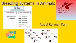 Breeding Systems in animals  Inbreeding  Outbreeding  animal husbandry [upl. by Ggerc206]