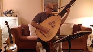 Robert de Visees Sarabande in D Major  William Simms theorbo [upl. by Eynaffit]