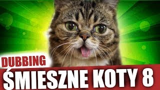 ŚMIESZNE KOTY 8 💯 DUBBING MATT OLECH [upl. by Lentha473]