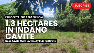 Farm lot sa Indang Cavite Near Cavite State University Indang 13 Hectares Titled [upl. by Minabe]