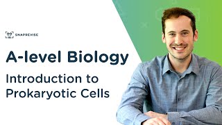 Introduction to Prokaryotic Cells  Alevel Biology  OCR AQA Edexcel [upl. by Arakat494]