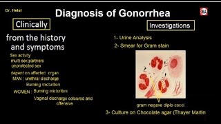 Gonorrhea 2 Diagnosis of Gonorrhea [upl. by Anilehcim]