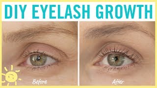 STYLE amp BEAUTY  Eyelash Growth Serum [upl. by Eimaraj658]