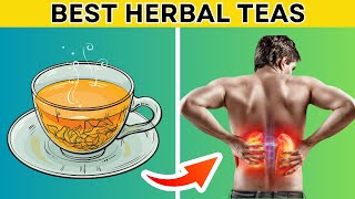 6 Best HERBAL Teas to Lower Creatinine Levels and Improve Kidney Functions  PureNutrition [upl. by Joye369]