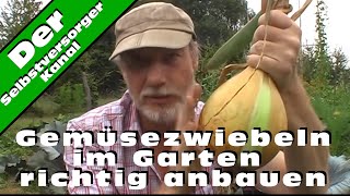 Gemüsezwiebeln im Garten richtig anbauen [upl. by Alyar733]