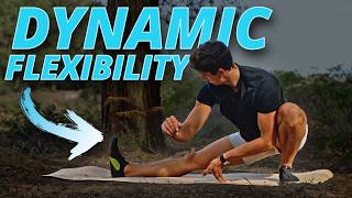 30 Minute Dynamic Flexibility Routine FOLLOW ALONG [upl. by Gradey]