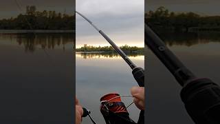 Un poisson énorme en ultra light 😅 fishing [upl. by Dett]