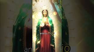 virgendeguadalupe amor fe oración a la virgen de Guadalupe [upl. by Ahsyia597]