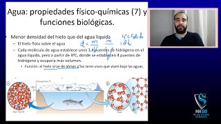 Bioelementos y molécula del agua estructura y propiedades para PEVAU [upl. by Anitsyrhc468]