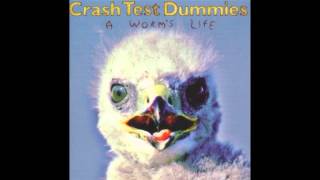 Crash Test Dummies  Overachievers [upl. by Ominoreg]