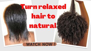 How to change relaxed hair to natural hair big chop and transitioning fast and easy [upl. by Watanabe]