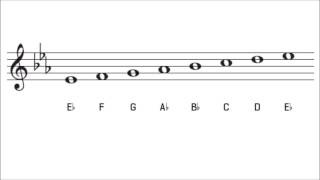 E Flat Major Scale and Key Signature The Key of Eb Major [upl. by Nadabas]