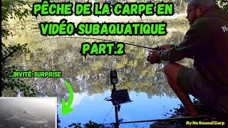 Pêche de la carpe en vidéo subaquatique [upl. by Ssecnirp474]