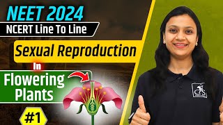 Sexual reproduction in Flowering Plants1  NCERT line by line  Poonam maam [upl. by Eicnan]