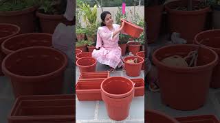 Gardening Pots and Products Shopping with Price shorts [upl. by Herzberg]