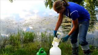 Emerged Aquatic Pond Weed Application [upl. by Divadleahcim375]