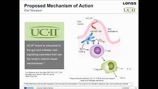 WEBINAR NOW UCII® for Joint Support Webinar  Undenatured Type II Collagen [upl. by Ennayhc522]