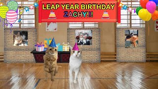 CATS EYE WITNESS NEWS  LEAP YEAR BIRTHDAY PARTY [upl. by Bernita]