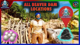 All Beaver Dam Locations in Ark Survival Ascended The Island Map [upl. by Orville]