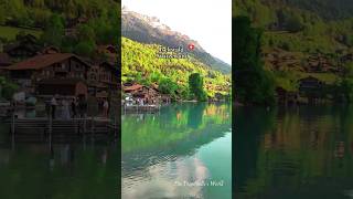 Beautiful Swiss Village Iseltwald switzerland 🇨🇭travel nature shorts fyp relaxing village [upl. by Barnaby]