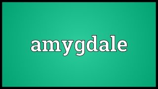 Amygdale Meaning [upl. by O'Donovan]