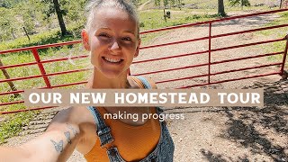 Homestead Progress Join me for a Tour [upl. by Nalid]