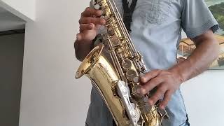 Tutorial Saxofon Alto Faltan 5 Pa Las 12 Aniceto Molina [upl. by Aicirtac]