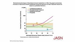 Phosphorus Part 4 Phosphate Homeostasis 3 [upl. by Ecylahs]