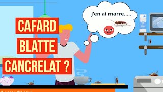 Comment reconnaître une blatte un cafard ou un cancrelat  Quelles sont les différentes blattes [upl. by Aksel639]