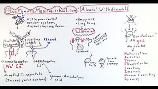 Alcohol Withdrawal Featuring Drunkbrain  One Minute Medical School [upl. by Mendel]