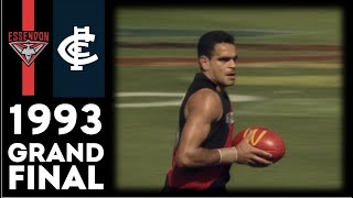 1993 AFL Grand Final  Essendon Vs Carlton Extended Highlights [upl. by Armillas]