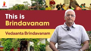 Vedaanta Senior Living KRISHNAN  Testimonial  Bangalore Hosur Chennai Cochin Coimbatore [upl. by Combs]