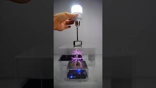 Tesla coil  glass box  hemar lighting bulb lightbulb teslacoil teslalovers [upl. by Livesay]