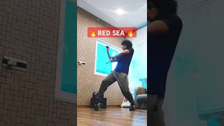 Red Sea Devara Bgm Danc ⚡⚡🔥🔥 devara redsea anirudh dance music shorts [upl. by Akerdnahs514]