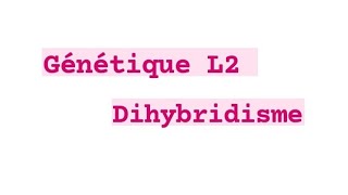 Génétique  Dihybridisme  gène liée et indépendant [upl. by Alessig]