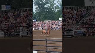 Barrel racing at the rodeo [upl. by Norman141]