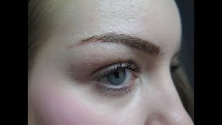 Microblading Healing Process amp Experience day by day [upl. by Oelc]