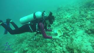 Sherlyn Doloriel MISS SCUBA PHILIPPINES 2017 DISCOVERY SCUBA DIVING AT BAUAN DIVERS SANCTUARY [upl. by Darius248]