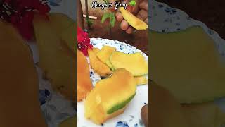 Kuch mitta aur kuch katta 🥭youtubrshorts youtubevideo food cooking farheensultana8009 [upl. by Dlabihcra]