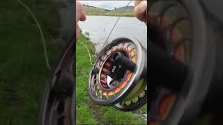 This is what its like fly fishing in Australia  Murrumbidgee river [upl. by Nosittam522]