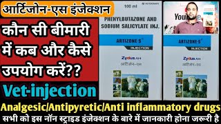 ArtizoneS आर्टिजोनएसPhenylbutazone and Sodium Salicylate Injection कौन सी बीमारी में कब कैसे दे [upl. by Yevol]