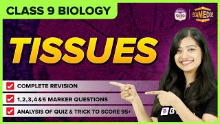 Tissues  Concept and Important Questions  Chapter 06  Class 9  CBSE Boards 2024  Exam Edge [upl. by Malonis]