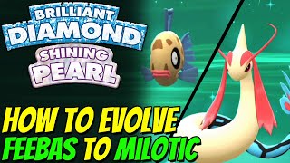 How to evolve FEEBAS to MILOTIC in Pokemon Brilliant Diamond and Shining Pearl [upl. by Mishaan]